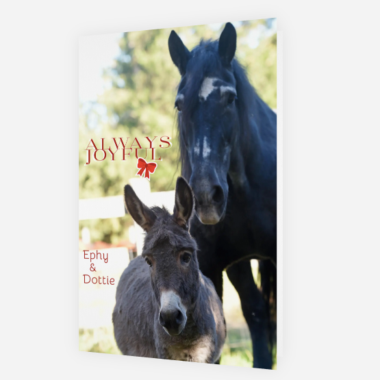 Always Joyful<br>Holiday Card 3-Pack
