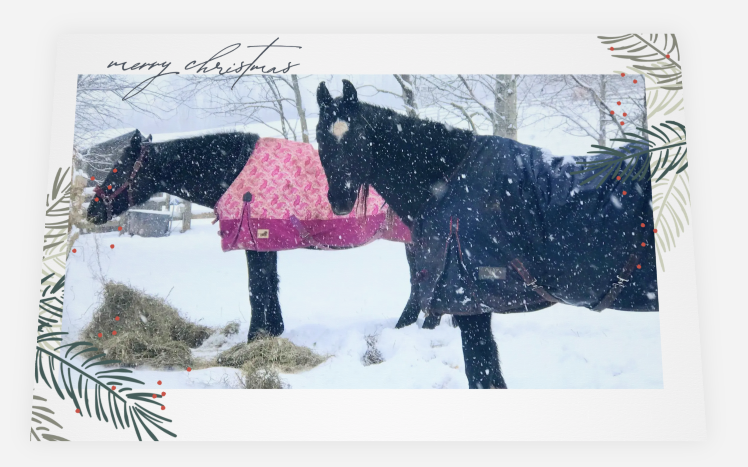 Merry Christmas <br> Holiday Card 3-Pack