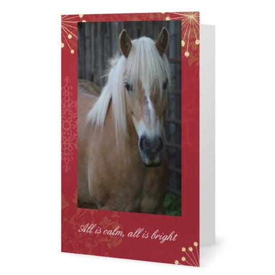 Honey Pie - All is Calm, All is Bright <br>Holiday Card 3-Pack