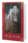 Honey Pie - All is Calm, All is Bright <br>Holiday Card 3-Pack