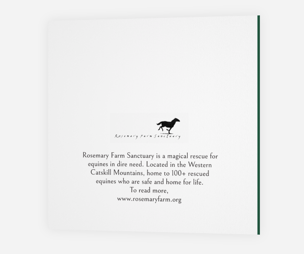 Every Day a Blessing <br> Holiday Card 3-Pack