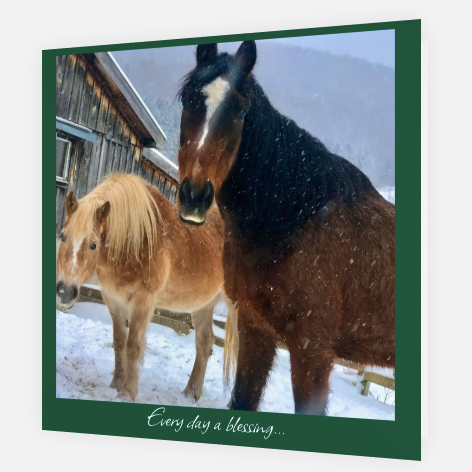 Every Day a Blessing <br> Holiday Card 3-Pack