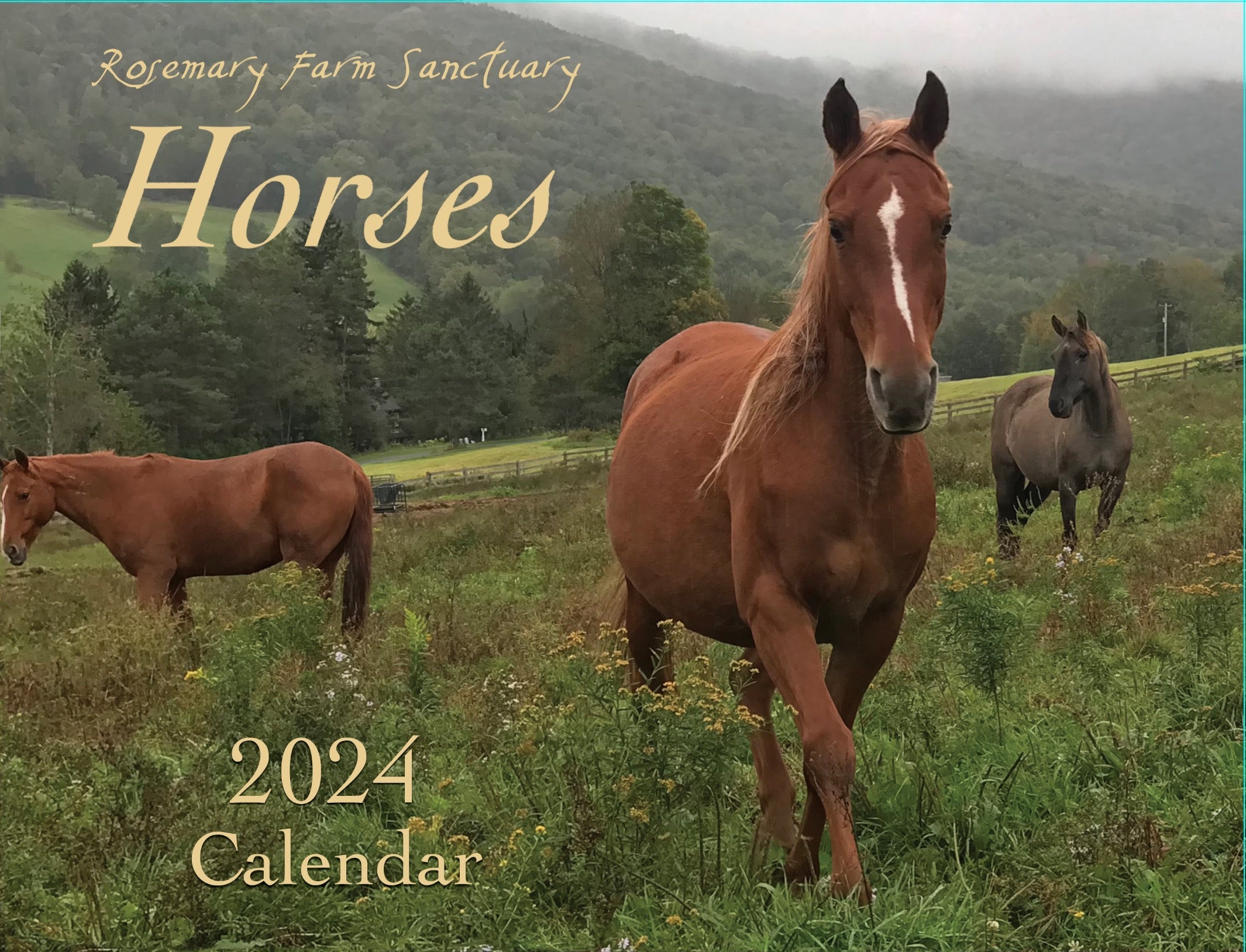 2024 Rosemary Farm Calendar - DONOR GIFT