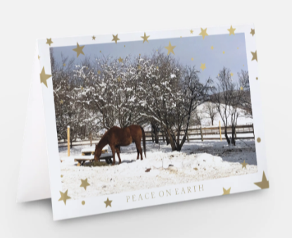 Peace on Earth <br> Holiday Card 3-Pack