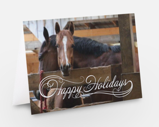 Iron & Riley - Happy Holidays <br>Holiday Card 3-Pack