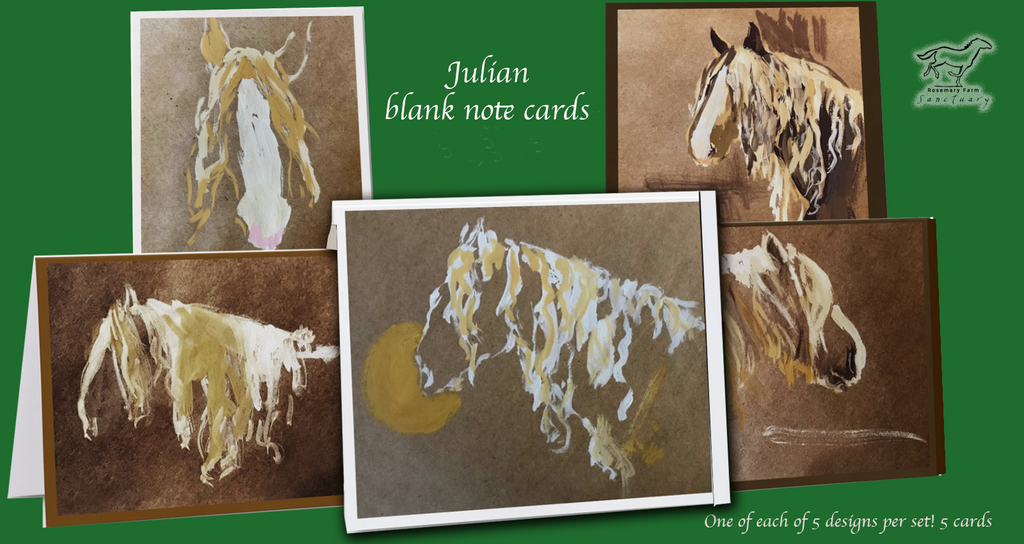 Julian <br> Note Card Collection <br> 5-pack