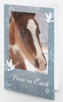 Leo - Peace on Earth<br>Holiday Card 3-Pack