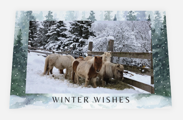 Winter Wishes <br> Holiday Card 3-Pack