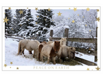 The Mini Herd - Peace on Earth <br>Holiday Card 3-Pack