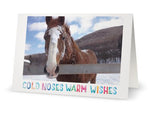 Plow - Cold Noses Warm Wishes <br>Holiday Card 3-Pack