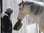 Feed a Horse for a Day!