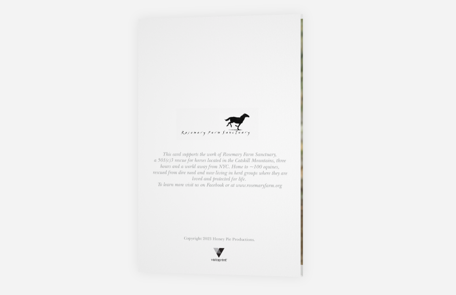 Joy to All<br>Holiday Card 3-Pack