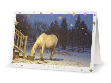 Sylvie - Peace on Earth <br>Holiday Card 3-Pack