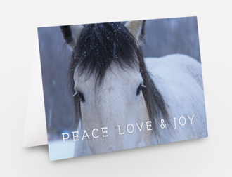 Violet - Peace Love & Joy <br>Holiday Card 3-Pack