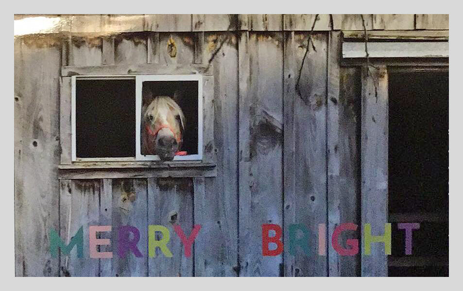 Merry+Bright <br>Holiday Card 3-Pack