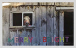 Honey Pie - Merry+Bright <br>Holiday Card 3-Pack
