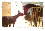 Iron & Nemo - Love is Love <br>Holiday Card 3-Pack