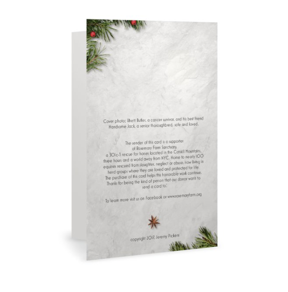 Joyful <br>Holiday Card 3-Pack