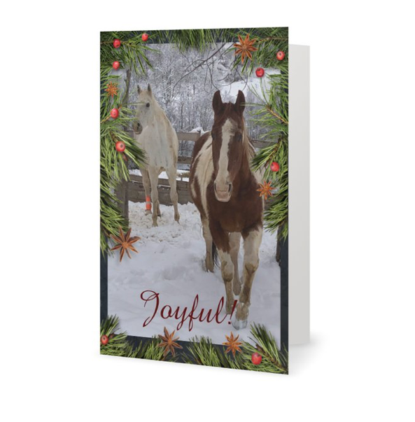 Joyful <br>Holiday Card 3-Pack