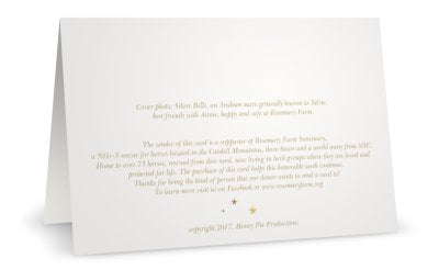 Sylvie <br> Peace on Earth <br> Holiday Card 3-Pack