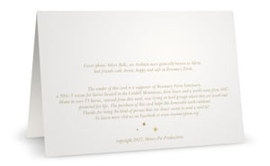 Sylvie <br> Peace on Earth <br> Holiday Card 3-Pack