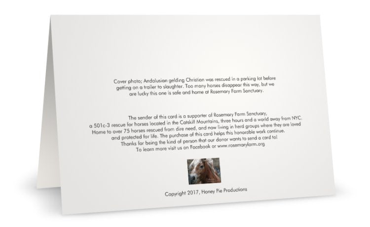 Winter Beauty<br>Greeting Card 3-Pack