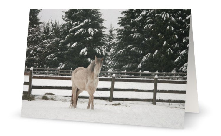 Winter Beauty<br>Greeting Card 3-Pack