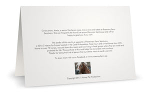 Annie <br> Greeting Card 3-Pack