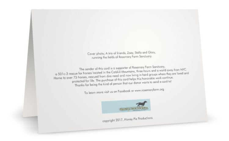 Zoey, Stella & Glory <br>Greeting Card 3-Pack